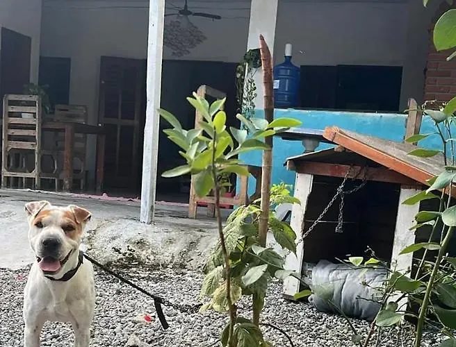 Casinha Da Lolla Apartamento Guarujá